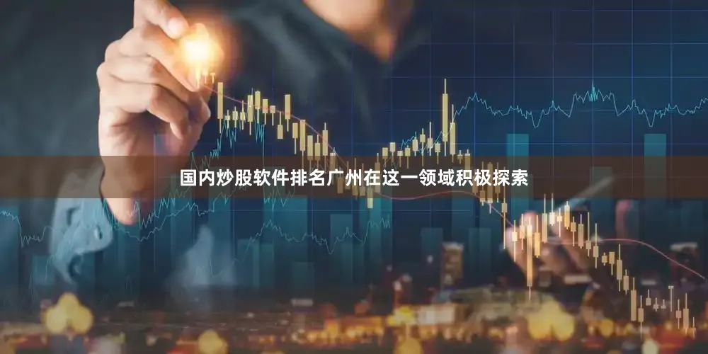 国内炒股软件排名广州在这一领域积极探索